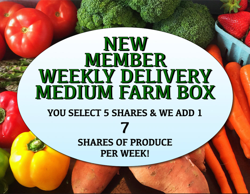 Farm Box Medium