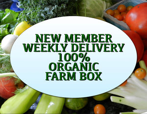 New Member Organic Box